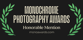 monochrome awards 2022 hm